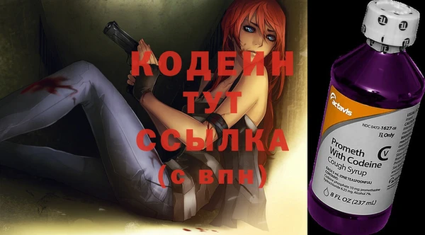 ешки Весьегонск