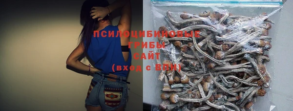 молекула духа Покровск
