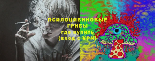 молекула духа Покровск