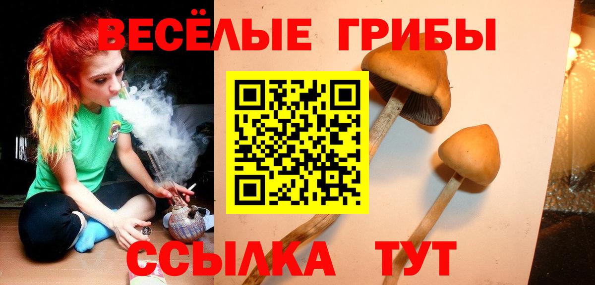 Ногинск  Псилоцибиновые грибы Psilocybe  Вход с VPN 