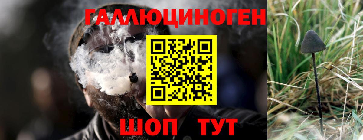 Галлюциногенные грибы Magic Shrooms Ногинск